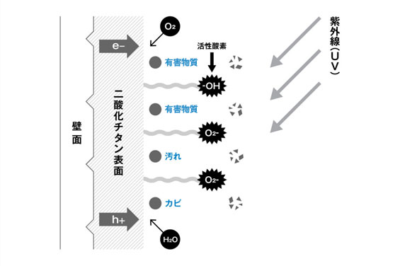 画像:有害物質を持続的に、自然に分解する光触媒